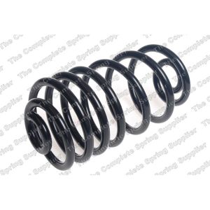 Coil Spring - Rear