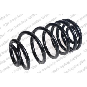 Coil Spring - Rear