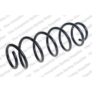 Coil Spring - Rear