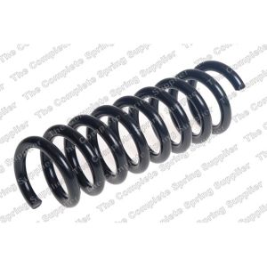 Coil Spring - Rear