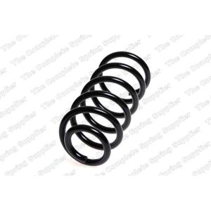 Coil Spring - Rear