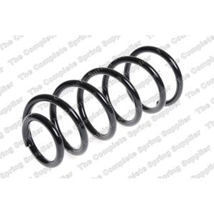 Coil Spring - Rear