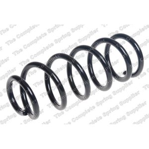 Coil Spring - Rear