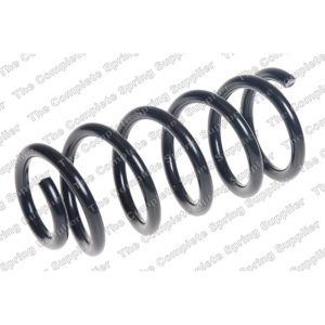 Coil Spring - Rear