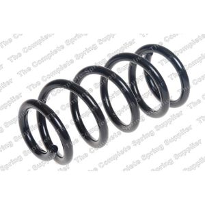 Coil Spring - Rear