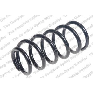 Coil Spring - Rear