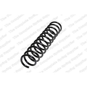 Coil Spring - Rear