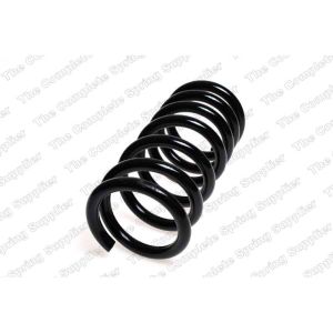 Coil Spring - Rear