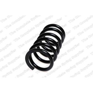 Coil Spring - Rear