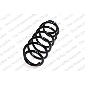 Coil Spring - Rear