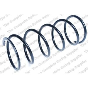 Coil Spring - Rear