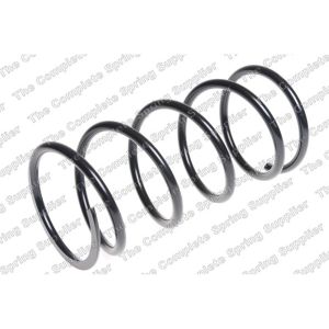 Coil Spring - Rear