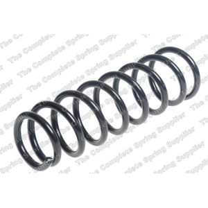 Coil Spring - Rear