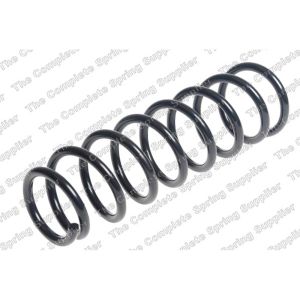 Coil Spring - Rear