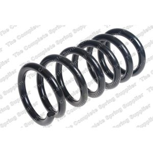 Coil Spring - Rear