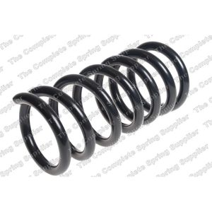 Coil Spring - Rear