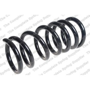 Coil Spring - Rear