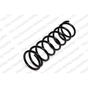 Coil Spring - Rear