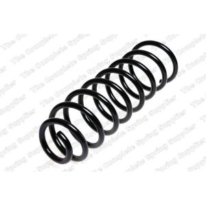 Coil Spring - Rear