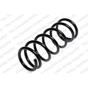 Coil Spring - Rear