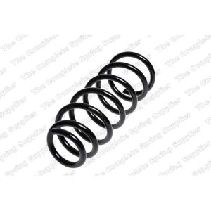 Coil Spring - Rear