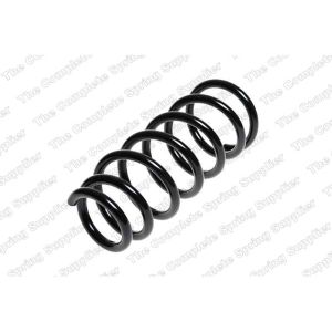 Coil Spring - Rear