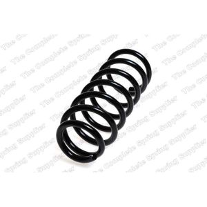 Coil Spring - Rear