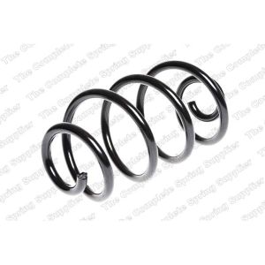 Coil Spring - Rear