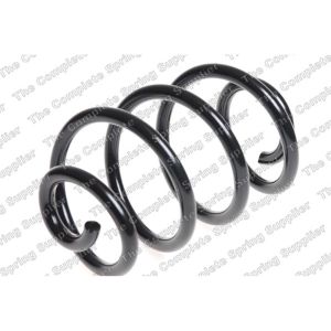 Coil Spring - Rear