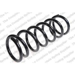 Coil Spring - Rear