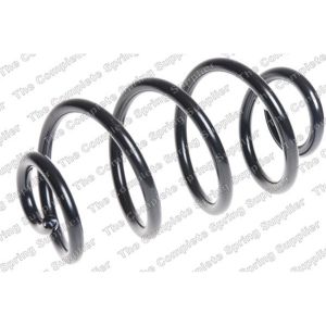 Coil Spring - Rear