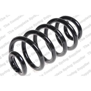 Coil Spring - Rear