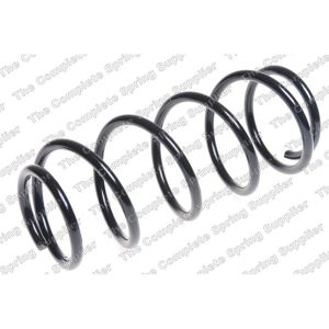 Coil Spring - Rear