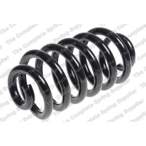 Coil Spring - Rear