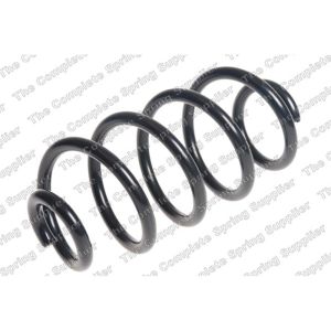 Coil Spring - Rear