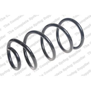 Coil Spring - Rear