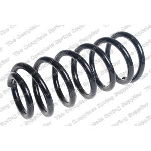 Coil Spring - Rear