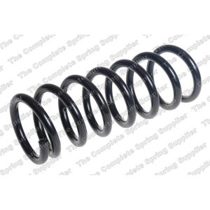 Coil Spring - Rear