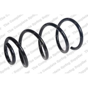 Coil Spring - Rear