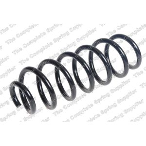 Coil Spring - Rear