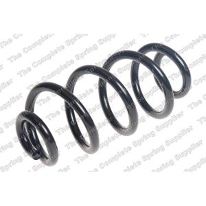 Coil Spring - Rear