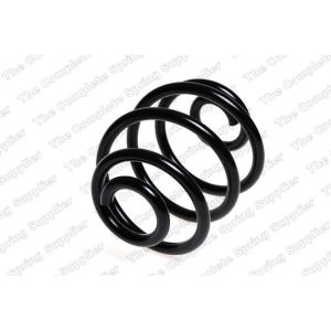 Coil Spring - Rear