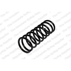 Coil Spring - Rear