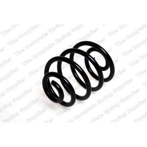 Coil Spring - Rear