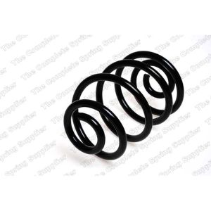 Coil Spring - Rear