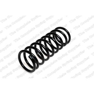 Coil Spring - Rear