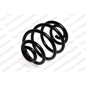 Coil Spring - Rear