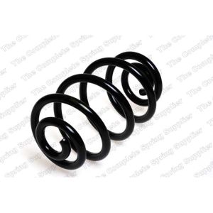 Coil Spring - Rear