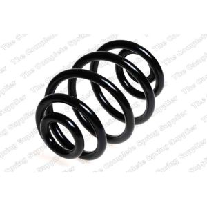 Coil Spring - Rear