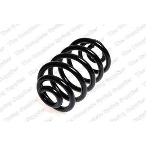 Coil Spring - Rear